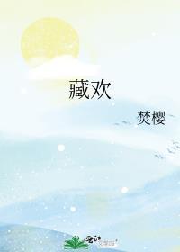 藏欢全本免费阅读