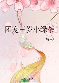 红楼之黛玉长嫂免费阅读