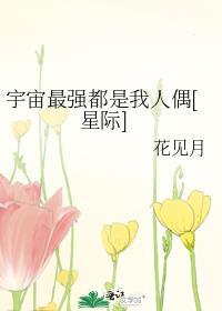小寡妇和闷石匠书评