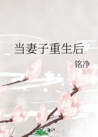 当妻子重生后[八零
