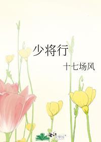 少将行by十七场风