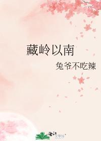 藏岭以南笔趣阁