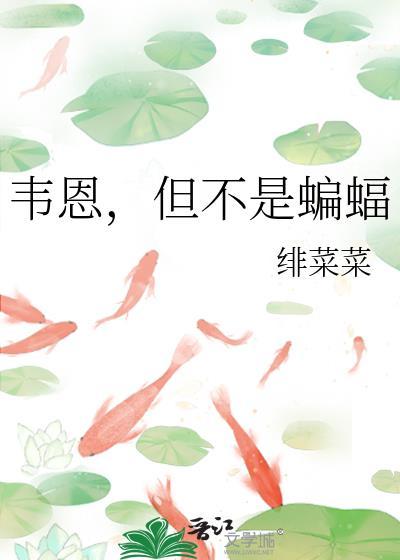 韦恩但不是蝙蝠
