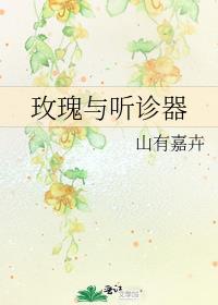 玫瑰与听诊器书评