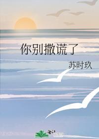 你别撒谎了by苏时玖晋江