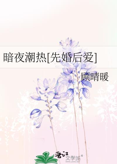 暗夜完整版