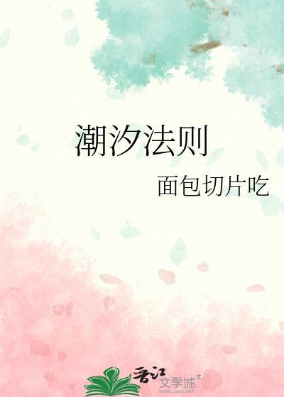 潮汐法则免费阅读无弹窗