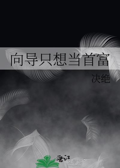 向导只想当首富txt