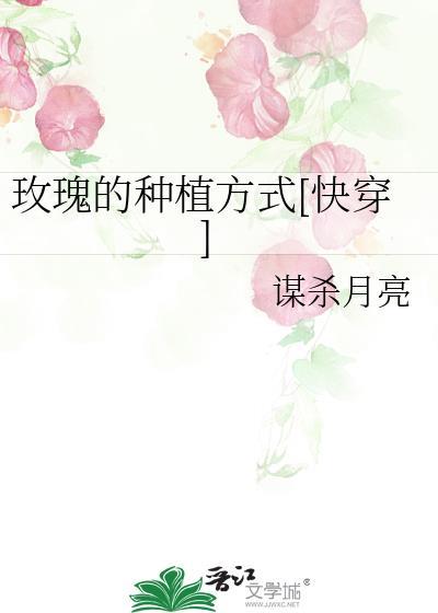 玫瑰种植的方法