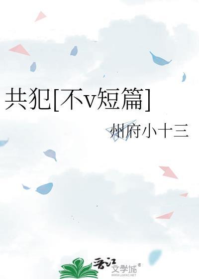 共犯关系在线阅读
