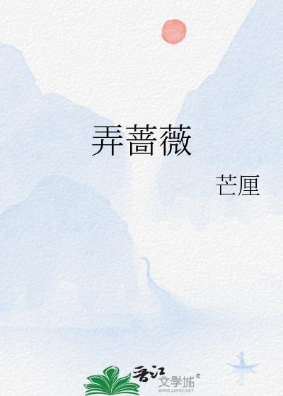 弄蔷薇by芒厘免费读