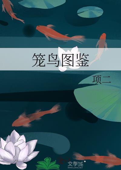 笼鸟图鉴txt