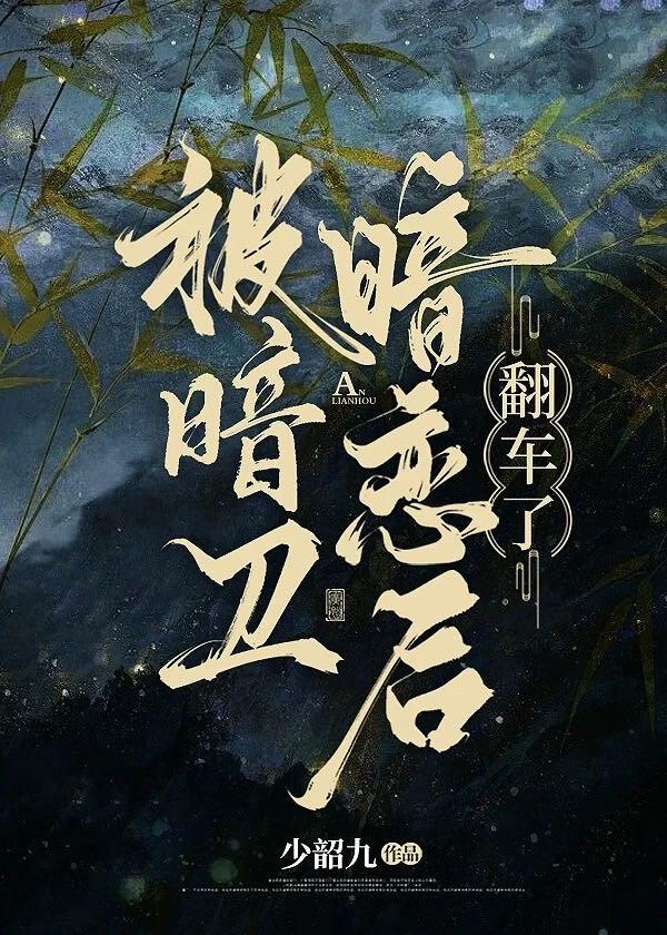 暗卫by介绍