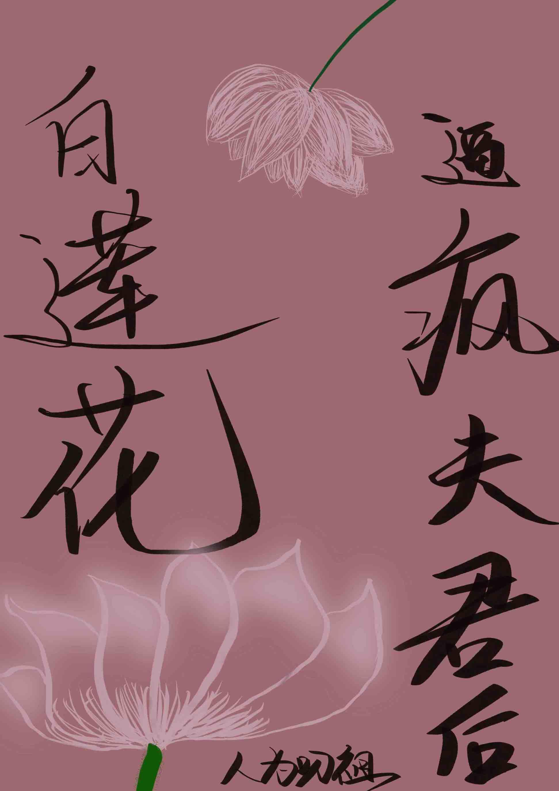 白莲花 文