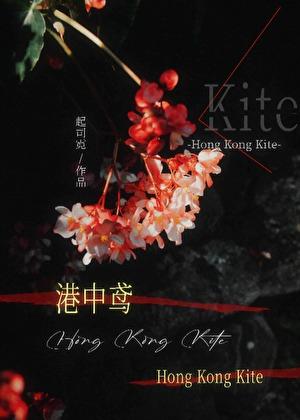 港中鸢txt笔趣阁免费阅读傅荒