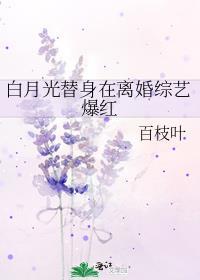 白月光替身在离婚综艺爆红 百度