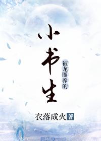 寒门小书生