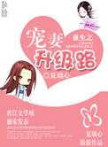 重生之宠妻之路gl完整版