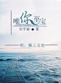 唯你至宝盘