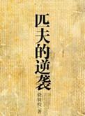 匹夫的逆袭在线阅读