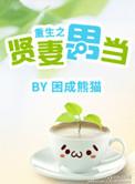 重生之贤妻男当免费