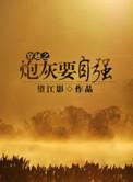 重生之炮灰在九零