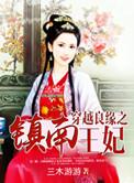 穿越之锦绣良缘镇南王妃