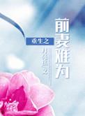 重生之前妻不好追