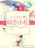小暗恋txt