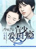 盲少爱妻上瘾全文阅读免费