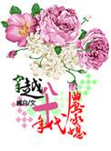 穿越八十年代农家媳全文免费