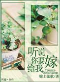 听说你要娶我gl txt