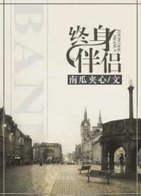 终身伴侣英文翻译