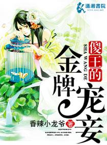 傻王的王妃