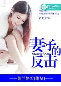 妻子的反击电视连续剧