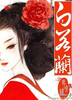 贵女白若兰评论