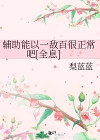 辅助owo