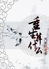 重生算什么讲的是什么