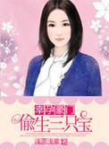 幸孕宠妻一胎六宝