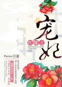 红楼之宠妃 panax