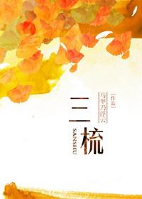三梳子两篦子怎么说