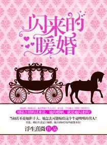 完整版闪来的宠婚