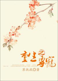重生之专宠男后