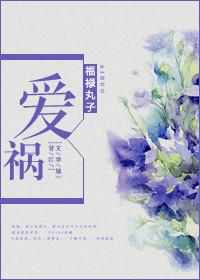 爱祸by福禄丸子