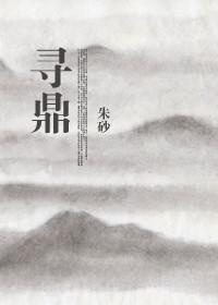寻鼎记电影