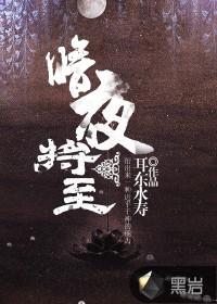 暗夜将至沈辣