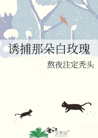 诱捕那朵白玫瑰免费阅读全文