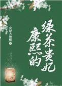 康熙的绿茶贵妃宠妃