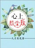 心上惹尘埃全文加番外
