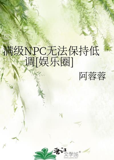 受是满级npc的